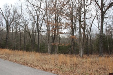 Bull Shoals Lake Lot For Sale in Flippin Arkansas