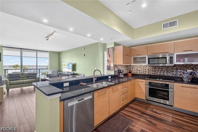 Downtown Fort Myers Oasis high rise. Turnkey furnished and - photo 10
