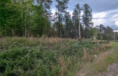 Lake Russell Lot For Sale in Iva South Carolina