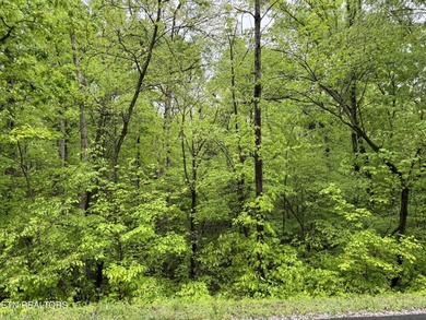 Tellico Lake Lot Sale Pending in Loudon Tennessee