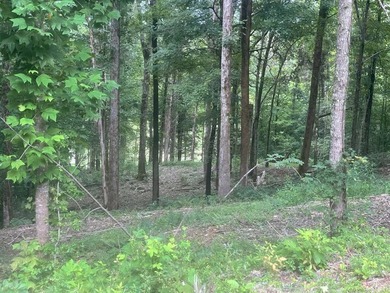 Unleash your imagination and build your dream retreat on this - photo 4