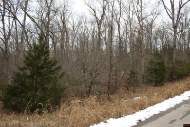 Bull Shoals Lake Lot For Sale in Flippin Arkansas