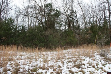 Bull Shoals Lake Acreage For Sale in Flippin Arkansas