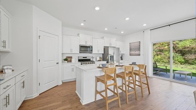 Move-in Ready For Summer! Quick Move-in New Townhome with Serene - photo 17