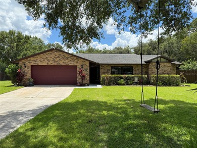 (private lake, pond, creek) Home For Sale in Kissimmee Florida