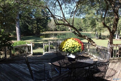 Estate Home with 46 acres, stocked pond, two bay RV bldg and - photo 12