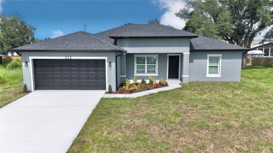 Port Charlotte Waterway Lakes Area Home For Sale in Port Charlotte Florida