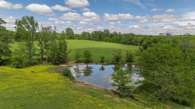 Lake Commercial For Sale in Harrisburg, Arkansas