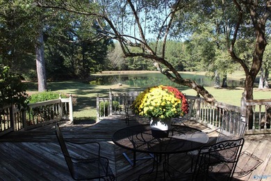 Estate Home with 46 acres, stocked pond, two bay RV bldg and - photo 34