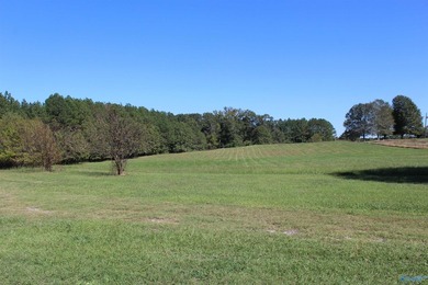 Estate Home with 46 acres, stocked pond, two bay RV bldg and - photo 39