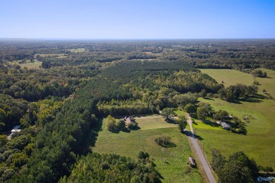 Estate Home with 46 acres, stocked pond, two bay RV bldg and - photo 42