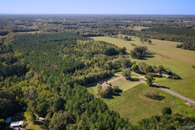 Estate Home with 46 acres, stocked pond, two bay RV bldg and - photo 43