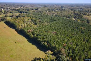 Estate Home with 46 acres, stocked pond, two bay RV bldg and - photo 44