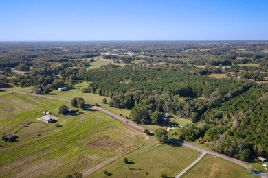Estate Home with 46 acres, stocked pond, two bay RV bldg and - photo 46