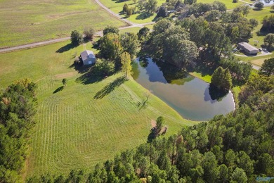 Estate Home with 46 acres, stocked pond, two bay RV bldg and - photo 47