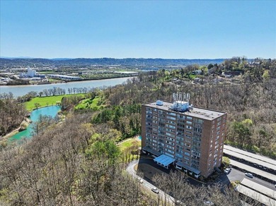 Tennessee River - Hamilton County Condo For Sale in Chattanooga Tennessee