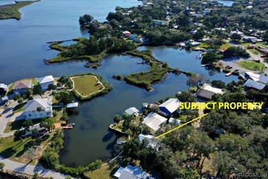 Saint Martins River Home For Sale in Crystal River Florida