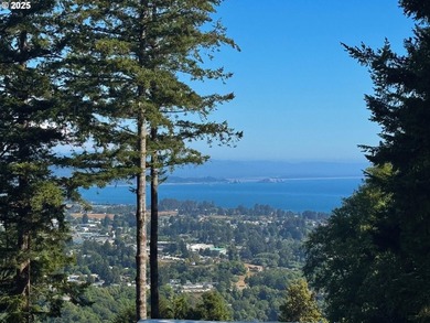 Oceanview Retreat on .73 AcresTucked into a peaceful, park-like - photo 2
