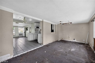 Needs TLC. House was cleaned out. Property is being sold AS-IS - photo 6