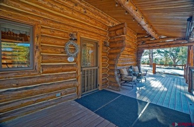Todd R Schroedel, United Country Sneffels Realty, C:,,: This - photo 6
