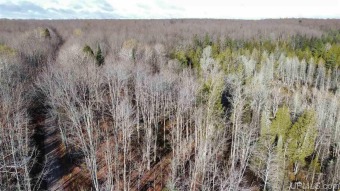 Michigamme River - Marquette County Acreage Sale Pending in Channing Michigan