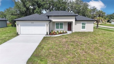 Port Charlotte Waterway Lakes Area Home For Sale in Port Charlotte Florida