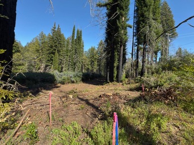 Rare opportunity to own approximately 0.26 acres of vacant land - photo 1