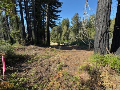Rare opportunity to own approximately 0.26 acres of vacant land - photo 2