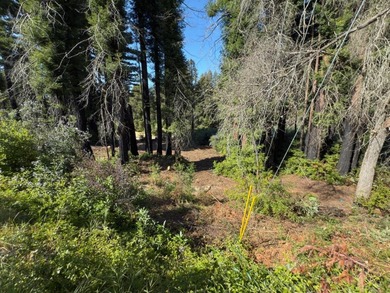 Rare opportunity to own approximately 0.26 acres of vacant land - photo 3