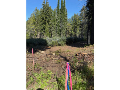 Rare opportunity to own approximately 0.26 acres of vacant land - photo 4