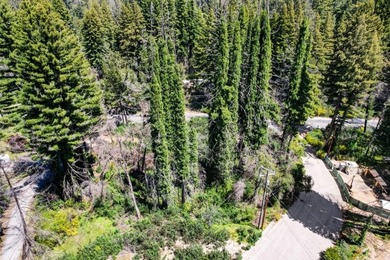 Rare opportunity to own approximately 0.26 acres of vacant land - photo 6