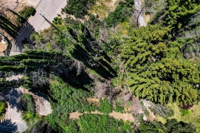 Rare opportunity to own approximately 0.26 acres of vacant land - photo 7