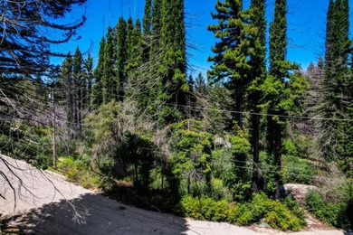 Rare opportunity to own approximately 0.26 acres of vacant land - photo 10