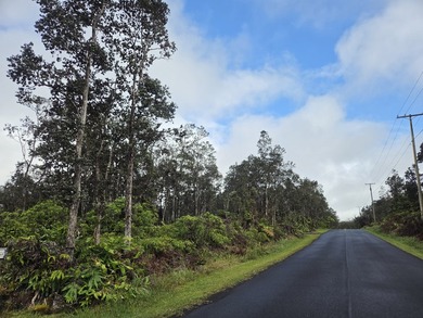 Located in the cool climate subdivision of Royal Hawaiian - photo 3