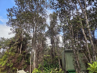 Located in the cool climate subdivision of Royal Hawaiian - photo 4