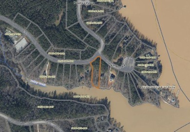 Near-level DOCKABLE lakefront lot, NOT in a flood zone. Enjoy a - Lake Lot For Sale in Hodges, South Carolina