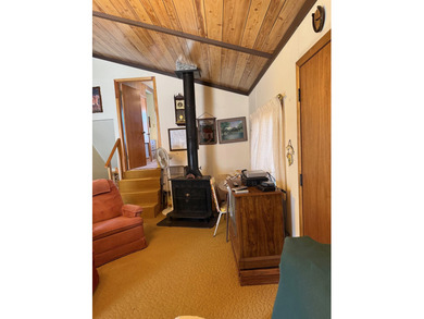 What a view! This 4-bedroom, 1-bath cabin is tucked away on the - photo 11