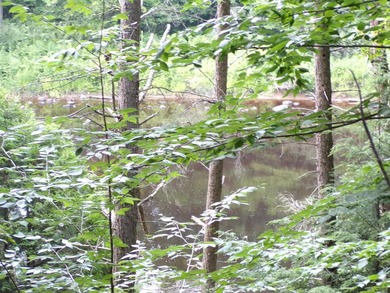 Peaceful and serene, this beautiful 15.1-acre wooded waterfront - photo 12