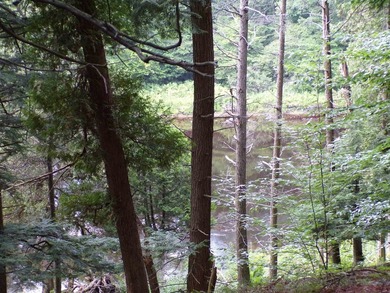 Peaceful and serene, this beautiful 15.1-acre wooded waterfront - photo 13