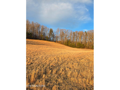 Norris Lake Acreage For Sale in Sharps Chapel Tennessee