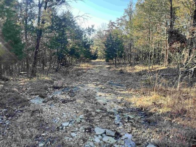 Lake Lot For Sale in Theodosia, Arkansas