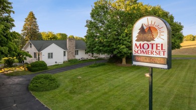 Lake Somerset Commercial For Sale in Cement City Michigan