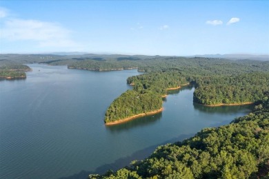 Lake Acreage For Sale in Chatsworth, Georgia