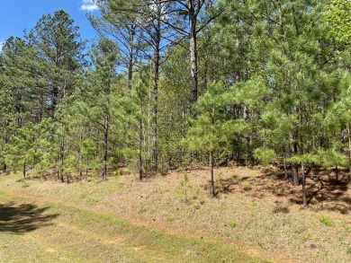 Lake Lot For Sale in Hodges, South Carolina