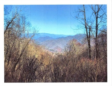 Fontana Lake Acreage For Sale in Bryson City North Carolina