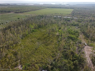 Buildable 1/2 acre- out of the flood zone (Flood Zone X). This - photo 5