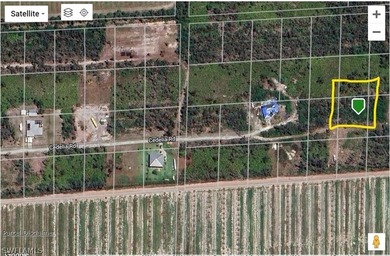 Buildable 1/2 acre- out of the flood zone (Flood Zone X). This - photo 9