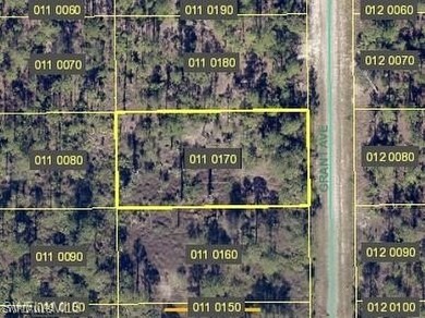 Lehigh Acres Area Lot For Sale in Lehigh Acres Florida