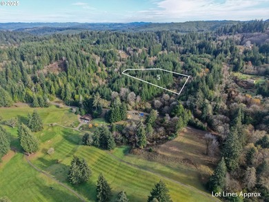 Welcome to Ironwood Estates, a premier residential subdivision - photo 1