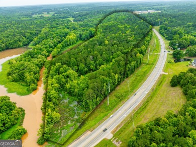 Lake Acreage For Sale in Greensboro, Georgia